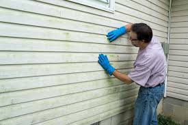 Best Siding Repair  in USA